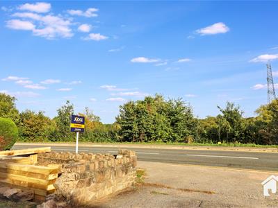 Picture 30